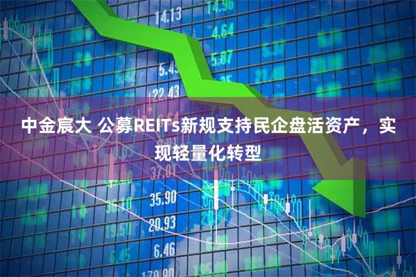 中金宸大 公募REITs新规支持民企盘活资产，实现轻量化转型