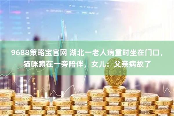 9688策略宝官网 湖北一老人病重时坐在门口，猫咪蹲在一旁陪伴，女儿：父亲病故了