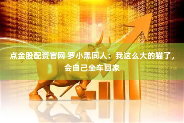 点金股配资官网 罗小黑同人：我这么大的猫了，会自己坐车回家