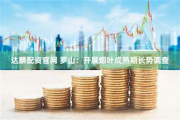 达麟配资官网 罗山：开展烟叶成熟期长势调查