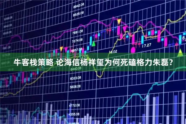 牛客栈策略 论海信杨祥玺为何死磕格力朱磊？